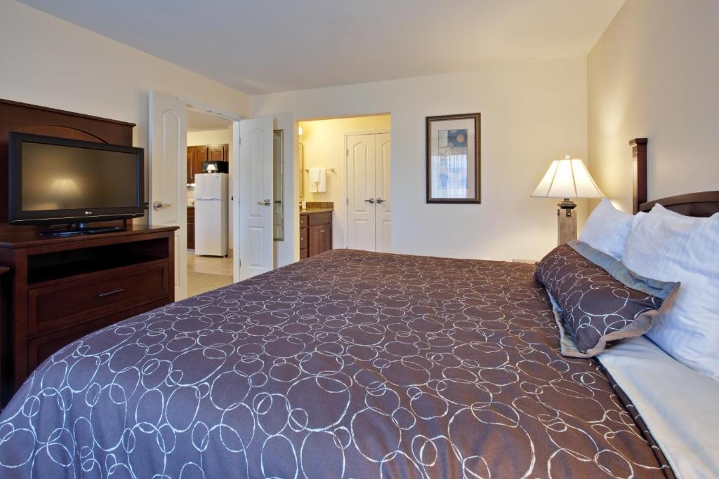 Staybridge Suites Indianapolis-Carmel an IHG Hotel Main image 2